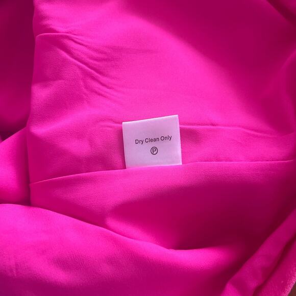 Tuckernuck Hot Pink Feather Mod Mary Dress Small - Picture 9 of 10